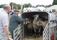 Malton Show 2016