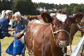 Malton Show 2016