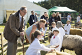 Malton Show 2016