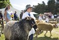 Malton Show 2016