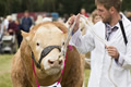 Malton Show 2016