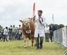 Malton Show 2016