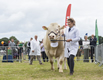 Malton Show 2016