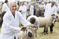 Malton Show 2016