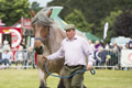 Malton Show 2016