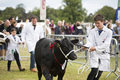 Malton Show 2016