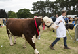 Malton Show 2016