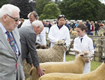 Malton Show 2016