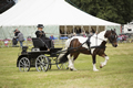 Malton Show 2016