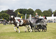 Malton Show 2016