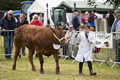 Malton Show 2016