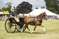 Malton Show 2016