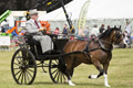 Malton Show 2016