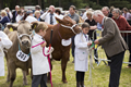 Malton Show 2016