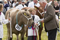 Malton Show 2016