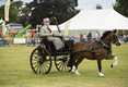 Malton Show 2016