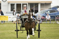 Malton Show 2016