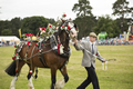 Malton Show 2016