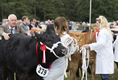 Malton Show 2016