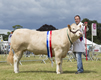 Malton Show 2016