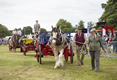 Malton Show 2016