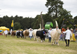 Malton Show 2016