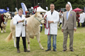 Malton Show 2016