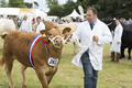 Malton Show 2016