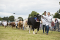 Malton Show 2016