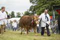 Malton Show 2016