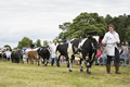 Malton Show 2016