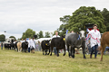 Malton Show 2016