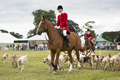 Malton Show 2016