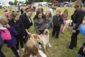 Malton Show 2016