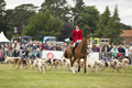 Malton Show 2016