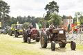 Malton Show 2016