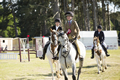 Malton Show 2016