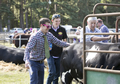 Malton Show 2017