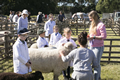 Malton Show 2017