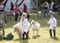 Malton Show 2017