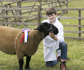 Malton Show 2017