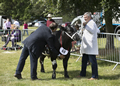 Malton Show 2017