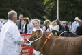 Malton Show 2017