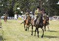 Malton Show 2017