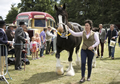 Malton Show 2017