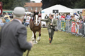 Malton Show 2017