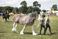 Malton Show 2017