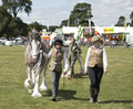 Malton Show 2017