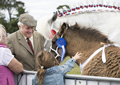 Malton Show 2017