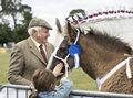 Malton Show 2017